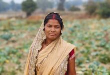 लेमन ग्रास की खुशबू से महक रही आत्मनिर्भरता, जीपीएम की महिलाएं बढ़ रहीं ‘लखपति दीदी’ बनने की राह पर